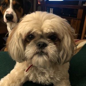 Meet your Posher, Samuel